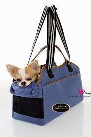 vas a comprar un bolso mira todos nuestros modelos http altamodaeuropeacanina com es 21 bolsos para perros 可愛い犬 犬 可愛い