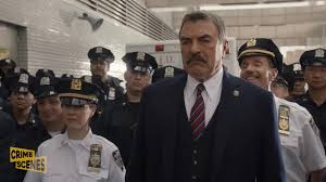 Jamie Reagan Shocks Blue Bloods Fans! Silence Falls as a Bombshell is  Revealed!