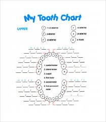 baby teeth chart 8 free pdf documents download free