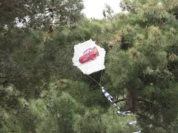 Kανένα σημάδι υποχώρησης δεν δείχνουν τα κρούσματα κορονοϊού τα τελευταία 24ωρα παρόλο που η χώρα βρίσκεται σε παρατεταμένο lockdown από τον περασμένο νοέμβριο. Ka8ara Deytera Me Lockdown Kai Xartaeto Se Kontina Parka Ti Isxyei Me To Sms Gia Tis Metakinhseis Agriniopress