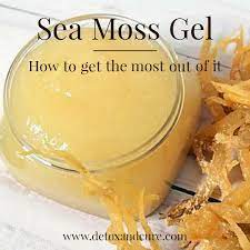 Sea moss gel has become a very popular and easy way to use irish moss as a supplement and for skincare. How Long Does Sea Moss Gel Last