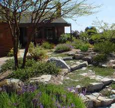 California Native Plant Garden Examples California Native Plants California Native Garden Native Plant Landscape