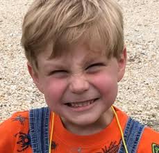Fall into septic system at fair leaves boy ill, family says