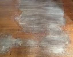 dog urine soaked into hardwood floors