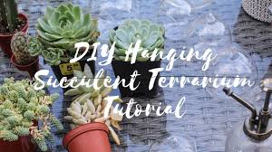 The world is full of free advice. Diy Hanging Succulent Terrarium Tutorial Youtube