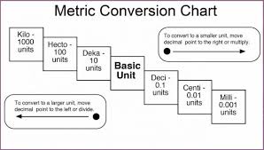 Module 5 Measurement Conversions St Leonard Elementary