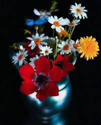 Pin On Flores Flowers