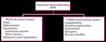 Investigation of postmenopausal bleeding (pmb). Vaginal Bleeding Gynecology And Obstetrics Msd Manual Professional Edition