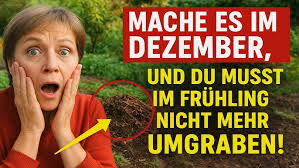 Nordic Jumping events 2021/2022: Connor & Gordon Paulsen, Springprüfung Kl.  S*