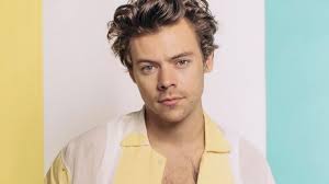 Brasileira envia impressionantes 8.000 cartas ao cantor Harry Styles