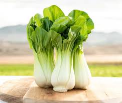 Pak Choi Samen | Cultivers
