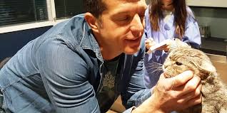 Clinique Chahuahua in Nice: Making A Paw-sitive Impact