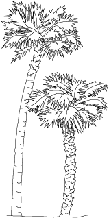 We did not find results for: Symbols Of Florida