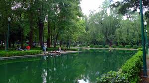 Image result for parque