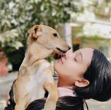 Outrage is growing online as people fight for justice for a dog that was so  severely neglected, he had maggots coming out of his skull and had to be  put down.