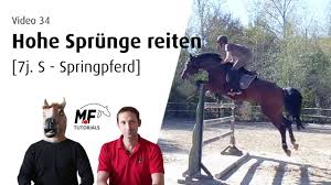 Da die akklimatisation an den sauerstoffmangel aufgrund des in großer höhe abnehmenden luftdrucks der wichtigste faktor bei dieser trainingsform ist, spricht man häufig auch von hypoxietraining. 34 Springen Von Hohen Sprungen S Springpferd Live Kommentar Youtube