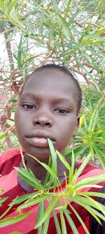 Pete-Madden Profiles