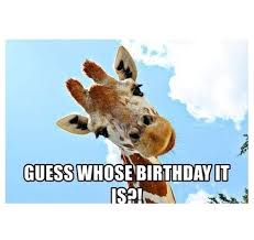 Happy Birthday Giraffe Memes