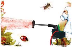 More effective pest and disease suppression. How To Control Pests And Diseases Biological Vs Chemical Canna Uk
