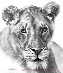 Pin On Patty Storms Watercolor And Pencil Drawings