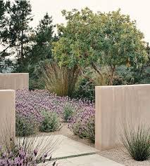 Desinged By Bernard Trainor Associateste Carmel Valley Decoratingwithplants In 2020 Mediterranean Garden Design Garden Design Mediterranean Garden