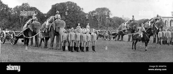 Elephant artillery Black and White Stock Photos & Images - Alamy
