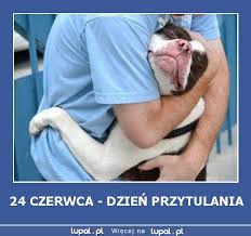 Znany pierwotnie jako szymon, został nazwany przez chrystusa po. 29 Czerwca Imieniny Piotra I Pawla Zdjecia Memy Smieszne Gify Zabawne Demotywatory I Pelne Humoru Zdjecia I Zarty