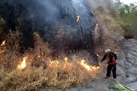 Hutan desa setianegara / gambar : Hutan Gunung Ciremai Terbakar Lagi