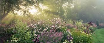 Garten Moorriem Un Jardin Para Sonar Desde Muchos Angulos Paisajismo Jardines Paisajes