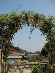 pin by erin on a lake atitlan lovefest arch trellis garden arch trellis bamboo trellis