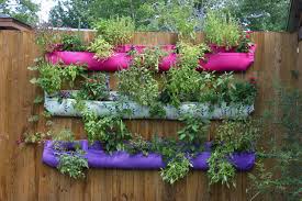 Want to grow a garden but have limited space? Creative Ideas For A Vertical Garden