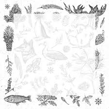 Download Premium Vector Of Wildlife Pattern Frame Social Ads Template Drawing Wallpaper Pastel Background Wallpaper Powerpoint