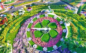 The World S Biggest Flower Garden Sits In The Middle Of A Desert Miracle Garden Flower Garden Large Flowers