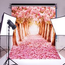 We did not find results for: 5x7ft Studio Photo Video Photography Backdrops Cherry Blossoms Sakura Road Printed Vinyl Fabric Party Decorations Background Screen Props Walmart Com Walmart Com