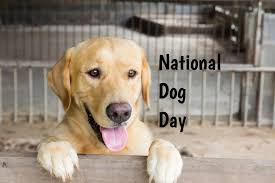 Read on to see how you can celebrate your furry friends to the fullest. National Dog Day In 2021 2022 When Where Why How Is Celebrated