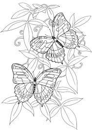 When it gets too hot to play outside, these summer printables of beaches, fish, flowers, and more will keep kids entertained. Butterfly Coloring Page Butterfly Coloring Page Animal Coloring Pages Coloring Pages