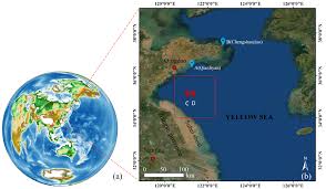 Frontiers | A novel quantitative analysis for diurnal dynamics of Ulva  prolifera patch in the Yellow Sea from Geostationary Ocean Color Imager  observation