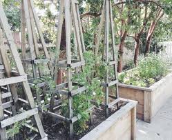 Blumenkasten selber bauen native plants. Rankgeruste Fur Hochbeete Pflanzenfreunde