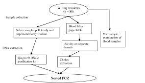 Overall Project Design The Flowchart Shows The Data And