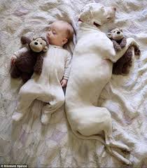 Tiny Baby Poses With Enormous Pet Dog In A Series Of Heart Melting Pictures Daily Mail Online
