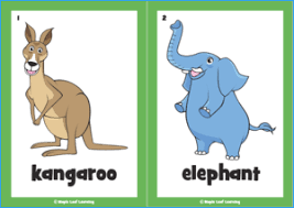 The Animal Song Resources Maple Leaf Learning Library