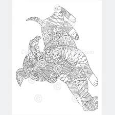 Flower coloring pages for adults. 26 Best Ideas For Coloring Pitbull Coloring Pages For Adults