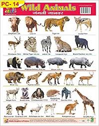 buy wall chart of plastics non tearable of wild animals for