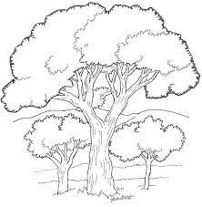 Afbeeldingsresultaat Voor Cartoon Getekende Bomen En Struiken Bomen Tekenen Boom Boom Patronen