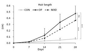 28 Day Study Of Olive Oil For Hair Growth 2 Diy Recipes Ulivita