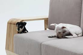 a pet friendly sofa made just for you and your pawfect buddy