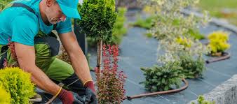 Information about the private limited company brampton care ltd has been prepared for information purposes only. Toronto Landscaping Lawncare Services Isr Gardening Inc