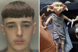 Black Country Harry Potter-inspired drug dealer, 19, jailed