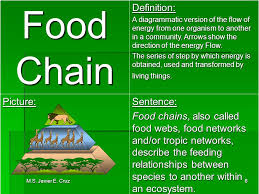 Check spelling or type a new query. Energy Transfer In Living Things Ppt Video Online Download