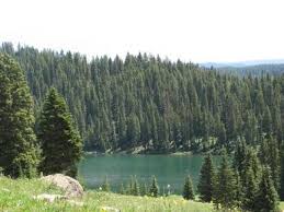 Colorado lake rund um die uhr online kaufen. Island Lake Campground Grand Mesa Uncompahgre And Gunnison National Forest Recreation Gov